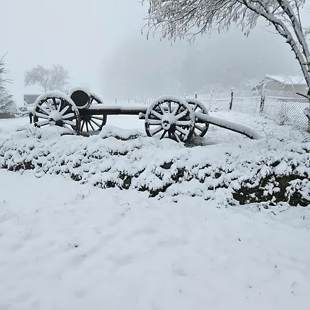 宾馆 La Maison Rose Bertignat